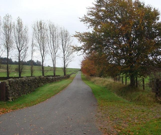 Abbotshaw House Farm B&B Newcastleton Exterior foto